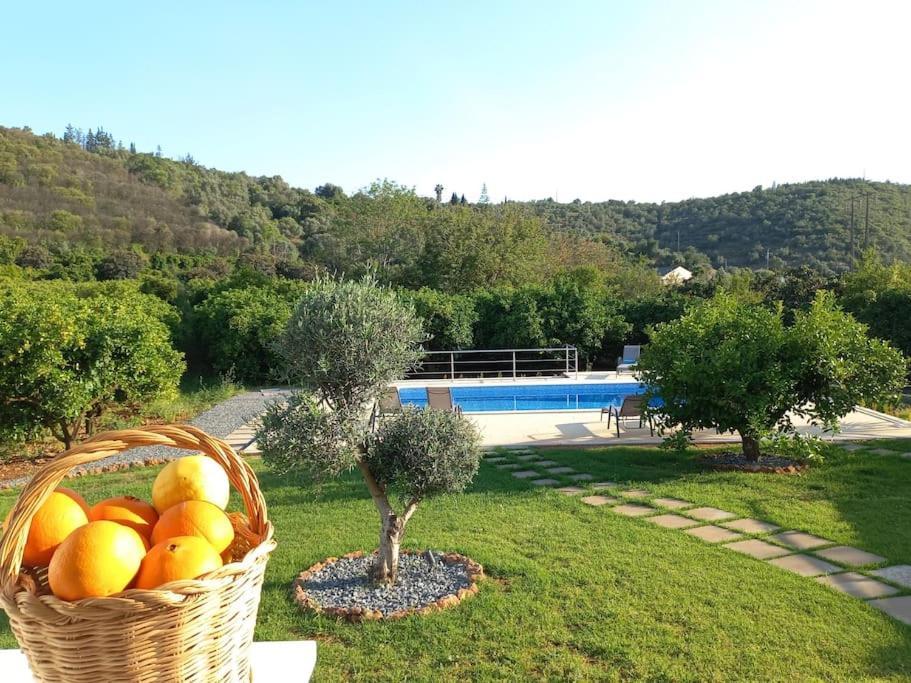 Casa Citrus Limao - Between The Hills & The Ocean Силвеш Экстерьер фото