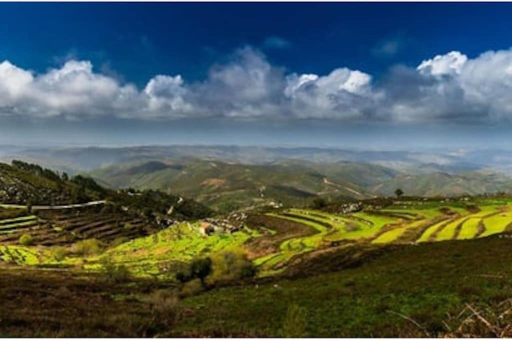 Casa Citrus Limao - Between The Hills & The Ocean Силвеш Экстерьер фото
